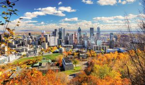 Nettoyage de tapis Montréal